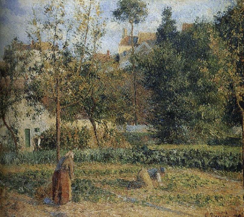 Camille Pissarro Schwarz Metaponto the outskirts of the orchard Norge oil painting art